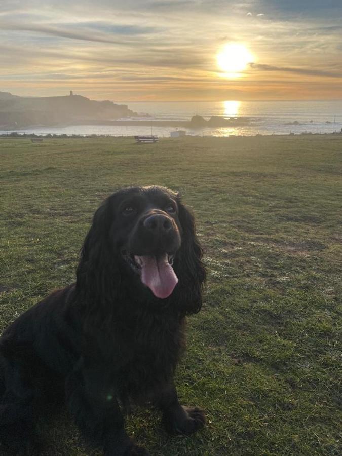 Pentire Coastal Holiday Park Bude Eksteriør bilde